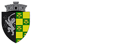Footer logo
